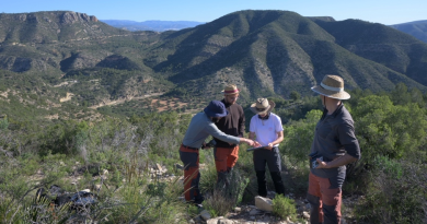 En busca de nuevos aliados para adaptarse al cambio microclimático
