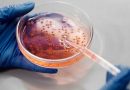 Disease detective tracks an invisible virus