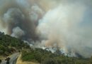 Cómo afectan los incendios forestales a la salud de la población incluso en lugares alejados