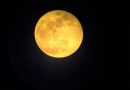 No es la Luna, es el Sol: así influye el calor extremo en los comportamientos delictivos