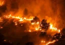La política incendiaria de la Comunidad de Madrid
