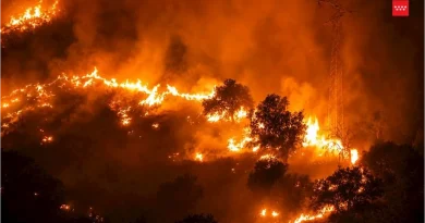 La política incendiaria de la Comunidad de Madrid