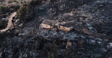 Ocho actuaciones para mejorar la gestión del riesgo de incendio y proteger a la población