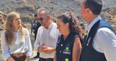 ¿Han convertido a Aránzazu Martín, la exdelegada de la Junta en Almería, en la cabeza de turco de un fallo colectivo de toda la cadena de mando de Emergencias del Gobierno andaluz?