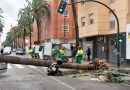 El Ayuntamiento de Almería condenado a pagar más de 800.000 euros por el accidente mortal de la avenida Cabo de Gata