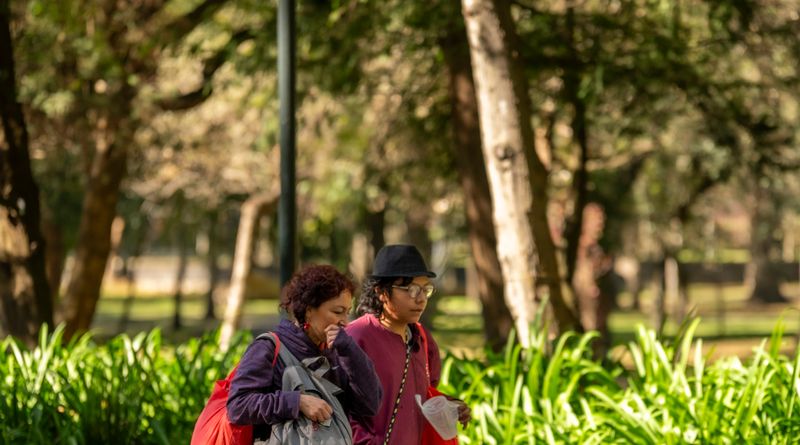 Casual couple strolling through a lush green park during the day, surrounded by trees and foliage.